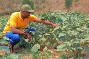 School Garden - Muko School