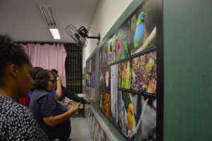 Exhibition Room/Sala de Exposicao