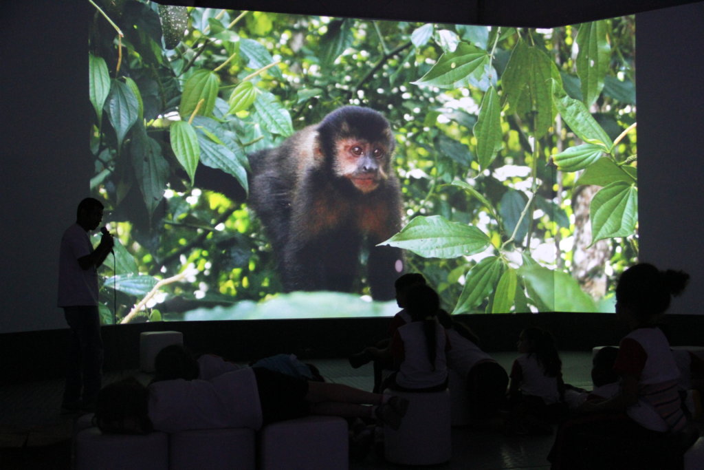 Young Biodiversity Artists- Tropical Forest Brazil