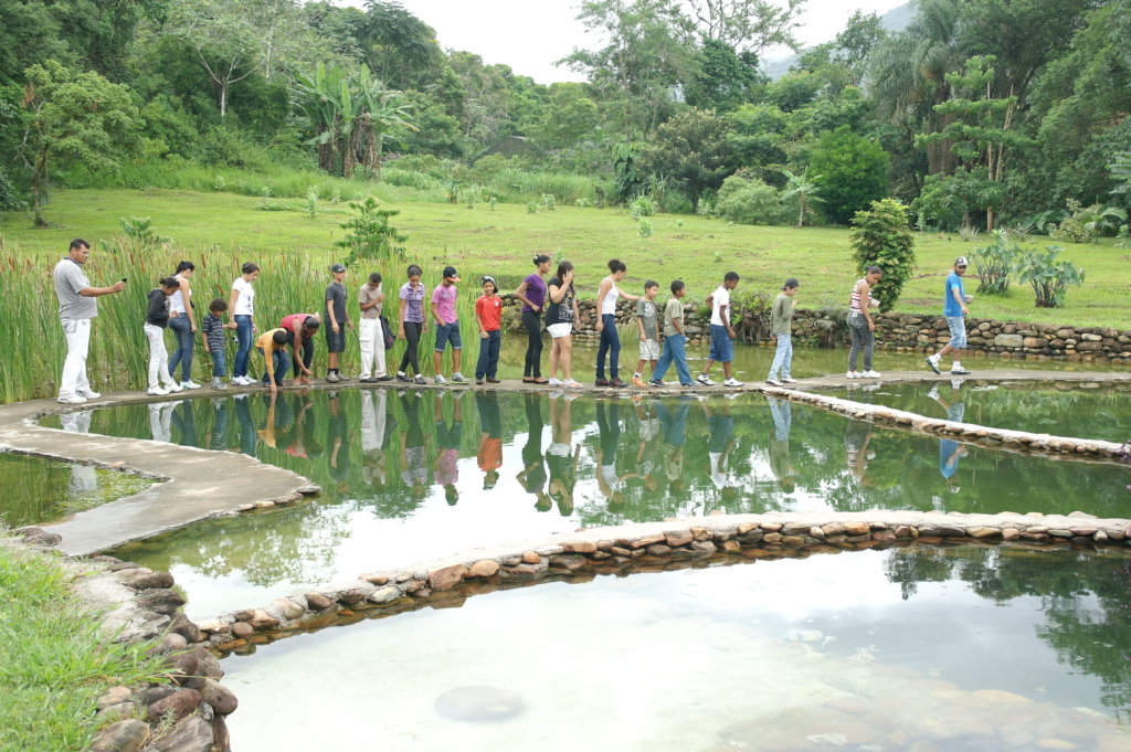 Young Biodiversity Artists- Tropical Forest Brazil