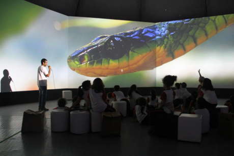 Young Biodiversity Artists- Tropical Forest Brazil