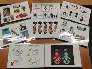 A set of the completed visual teaching aids