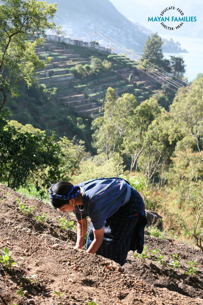 Building a Home for the San Antonio Preschool