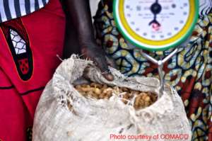COMACO weighs peanuts a farmer has brought to sell