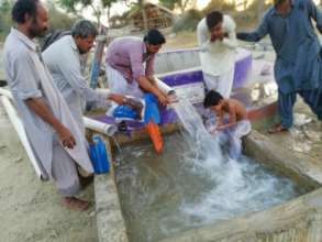Fresh water gushing out from the well