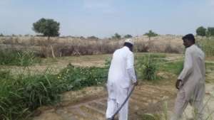 Cultivation of land besides the well.