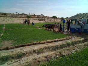 Women and Children working in the farm.