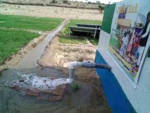 New water well with a Green Field.