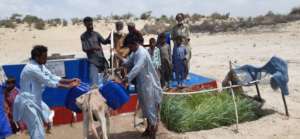 transportation of water on donkeys back.