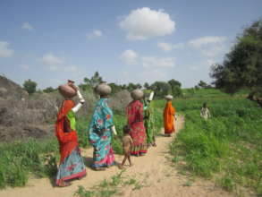 Women passing through green fields with water pots