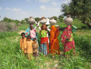 The women of Thar standing in the green fields.