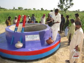 A green field near a water well in Thar.