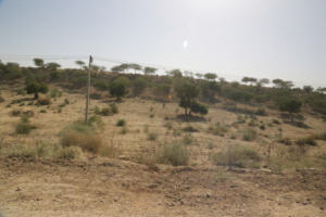 A view of thar desesrt