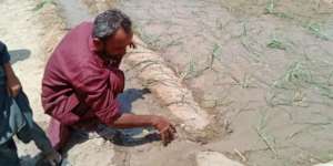 Cultivation of the Land with water from the Well