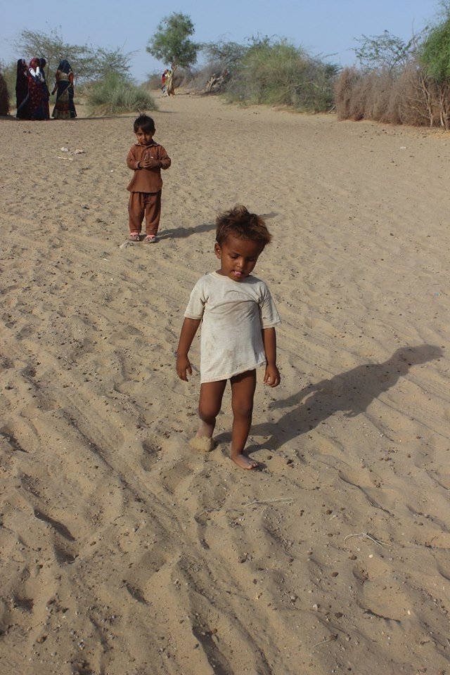 Drinking Water for Humans,Animals of Thar