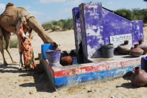 Woman and her Camel are drinking water from well