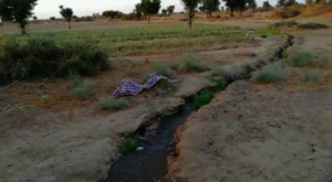 Land irrigated by water from the well.