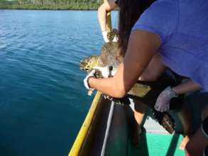 Releasing from the boat