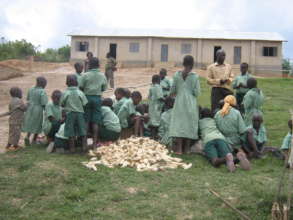 children preparing to shuck maize off the cob