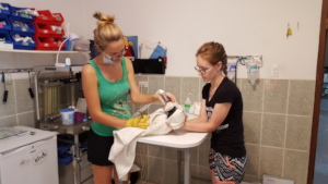 Dr's Sophie & Gemma removing the pin on a stygian
