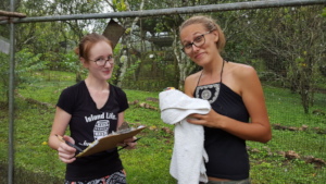 Sophie & Gemma sorting the white fronts out!