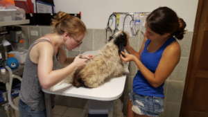 Dr Gemma and Evelyn (yes, that's not a bird!)