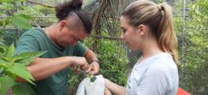Oscar and Lauren banding a parrot