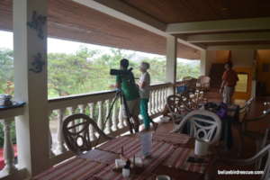 Birding at Rock Farm
