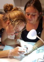 Veterinary care at BBR