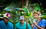 Saving Belize's Birds