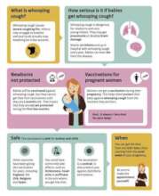 Pertussis Info sheet