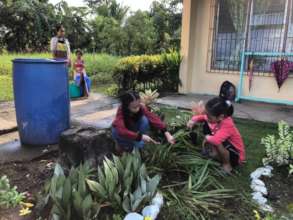 Children assist school nurses cleaning mosquitos