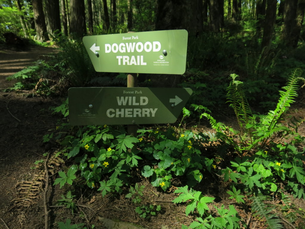 Greater Forest Park Conservation Initiative