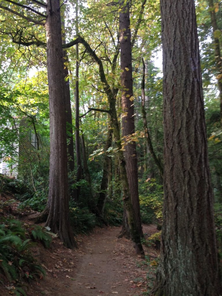 Greater Forest Park Conservation Initiative