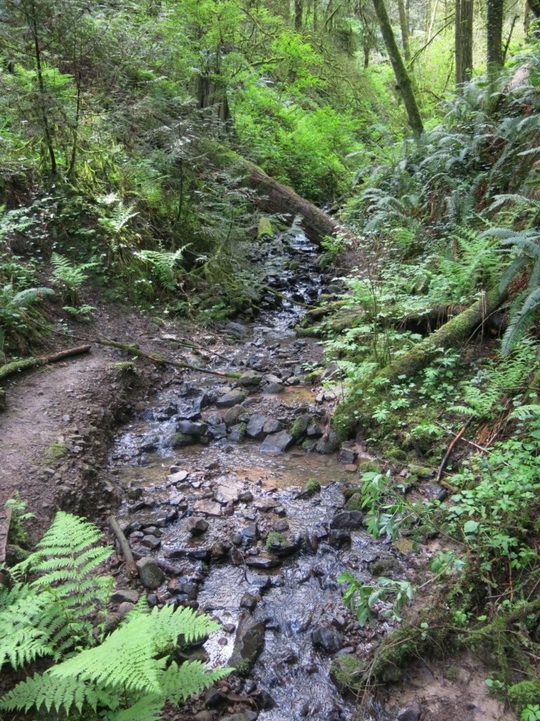 Greater Forest Park Conservation Initiative