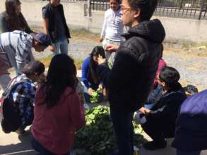 Composting