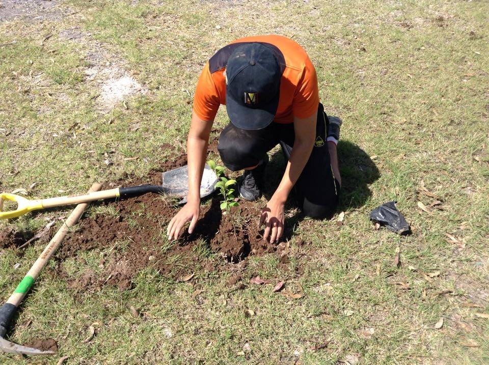 Plant & protect 10000 trees in San Luis Potosi