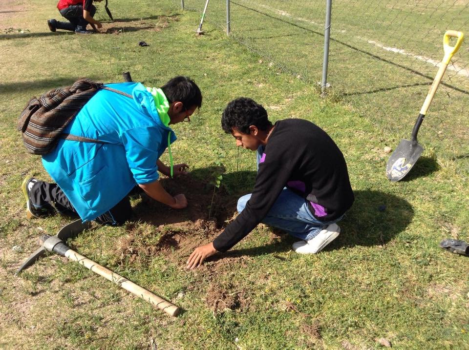 Plant & protect 10000 trees in San Luis Potosi