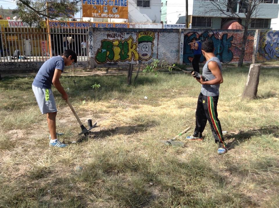 Plant & protect 10000 trees in San Luis Potosi