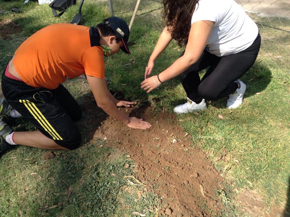 Plant & protect 10000 trees in San Luis Potosi