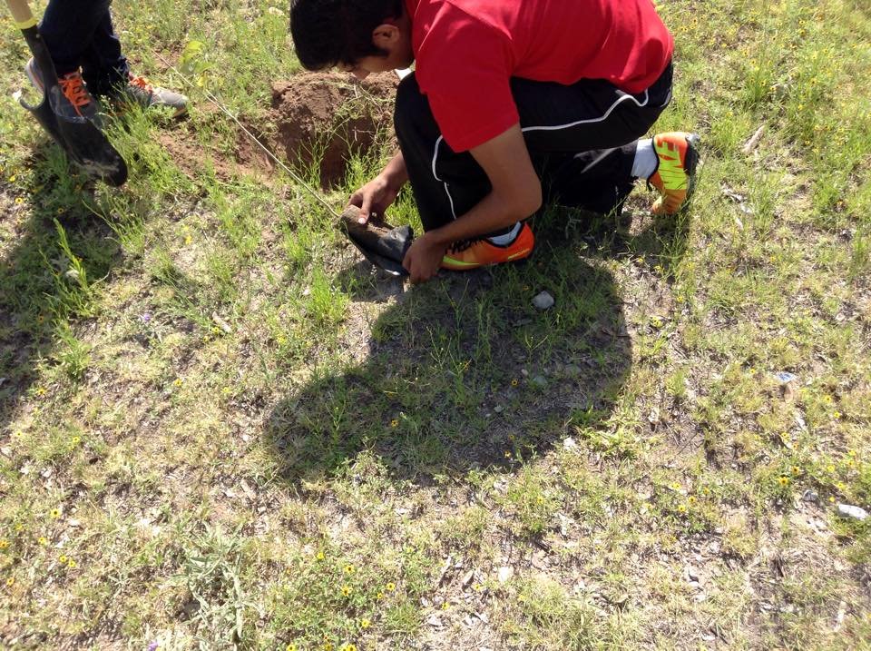 Plant & protect 10000 trees in San Luis Potosi