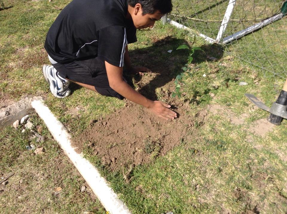 Plant & protect 10000 trees in San Luis Potosi