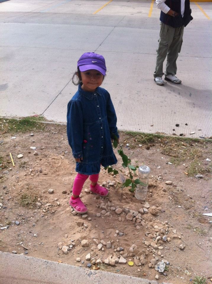 Plant & protect 10000 trees in San Luis Potosi