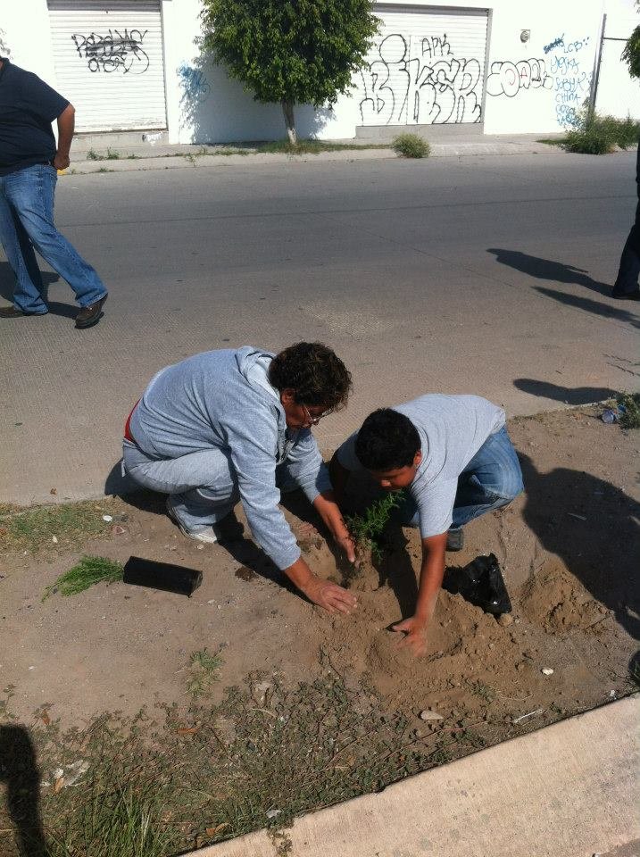 Plant & protect 10000 trees in San Luis Potosi