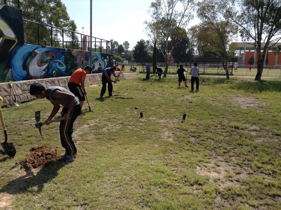 Plant & protect 10000 trees in San Luis Potosi