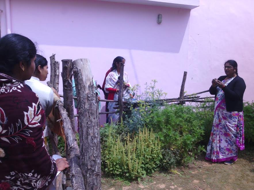 Herbal garden demonstration