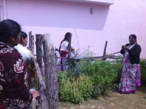 Herbal garden demonstration