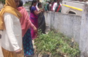 Primary Pro-Health Programme for  Women