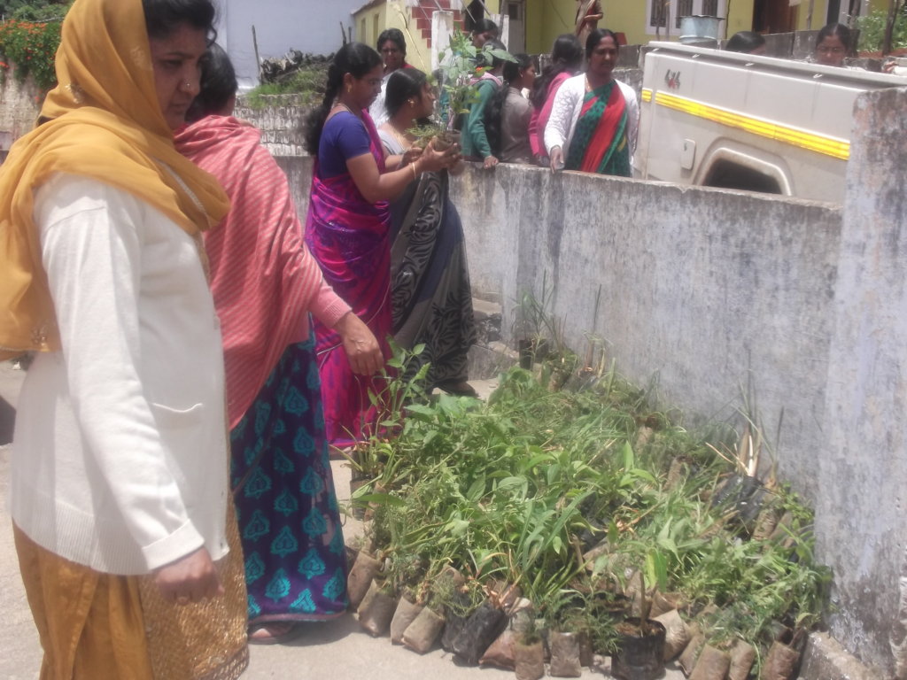 Primary Pro-Health Programme for  Women