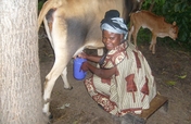 HOPE FOR 50 KENYAN WOMEN , YOUTH MICRO -ENTERPRISE